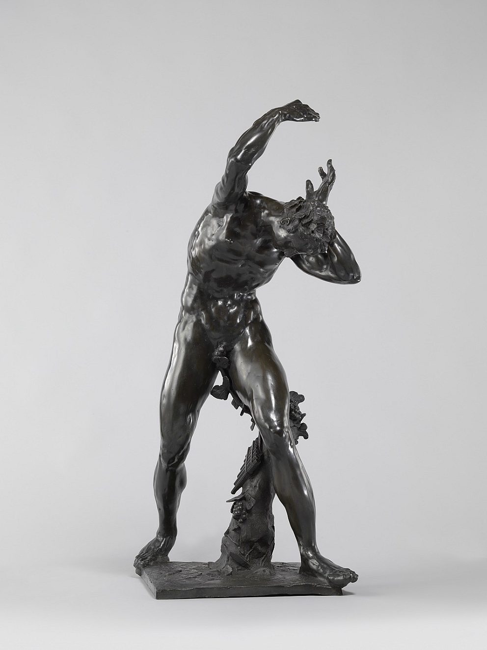 De Vries Bacchant verkleind